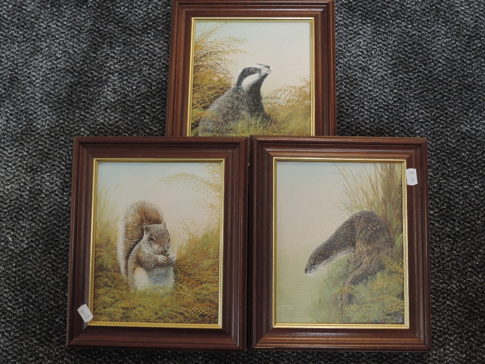 Three oil paintings Mike Nance, Badger, Red Squirrel, and Otter, 24 x 20cm, signed, framed