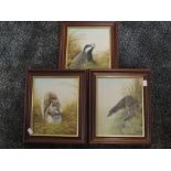 Three oil paintings Mike Nance, Badger, Red Squirrel, and Otter, 24 x 20cm, signed, framed