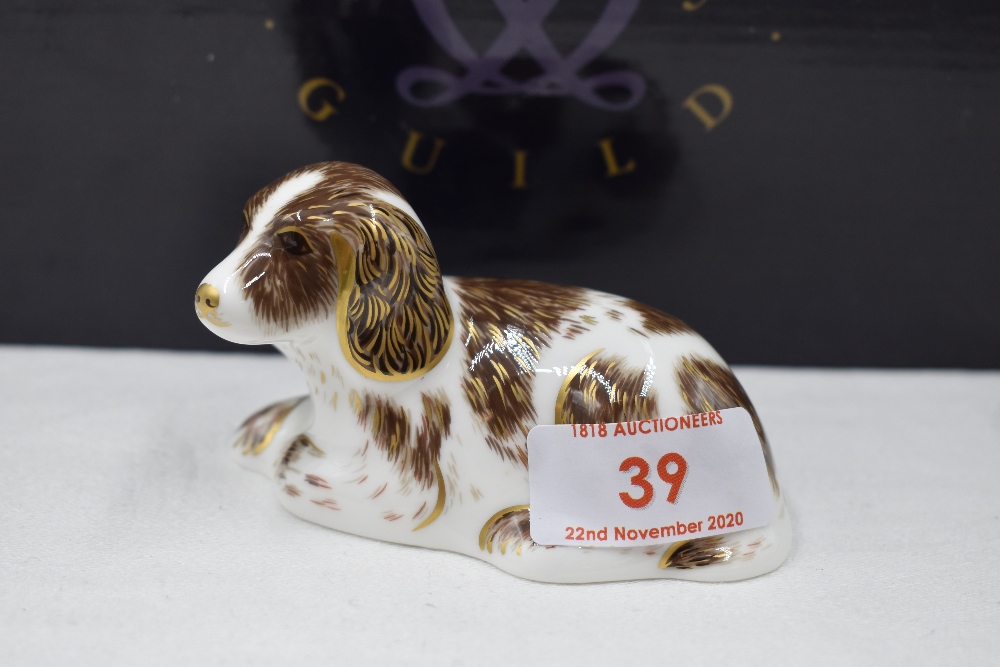 A Royal Crown Derby Collectors Guild Scruff the dog paperweight, boxed with gold stopper