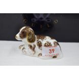 A Royal Crown Derby Collectors Guild Scruff the dog paperweight, boxed with gold stopper