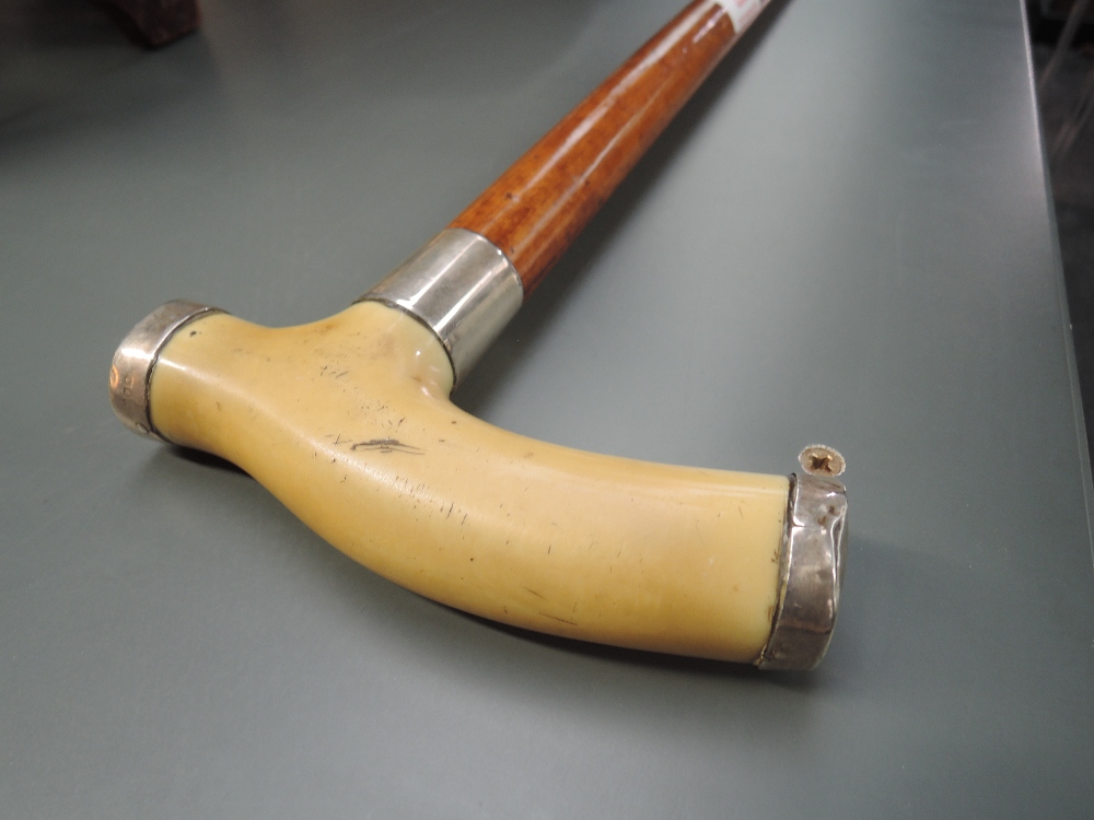 A traditional walking stick having white metal tips and bone handle