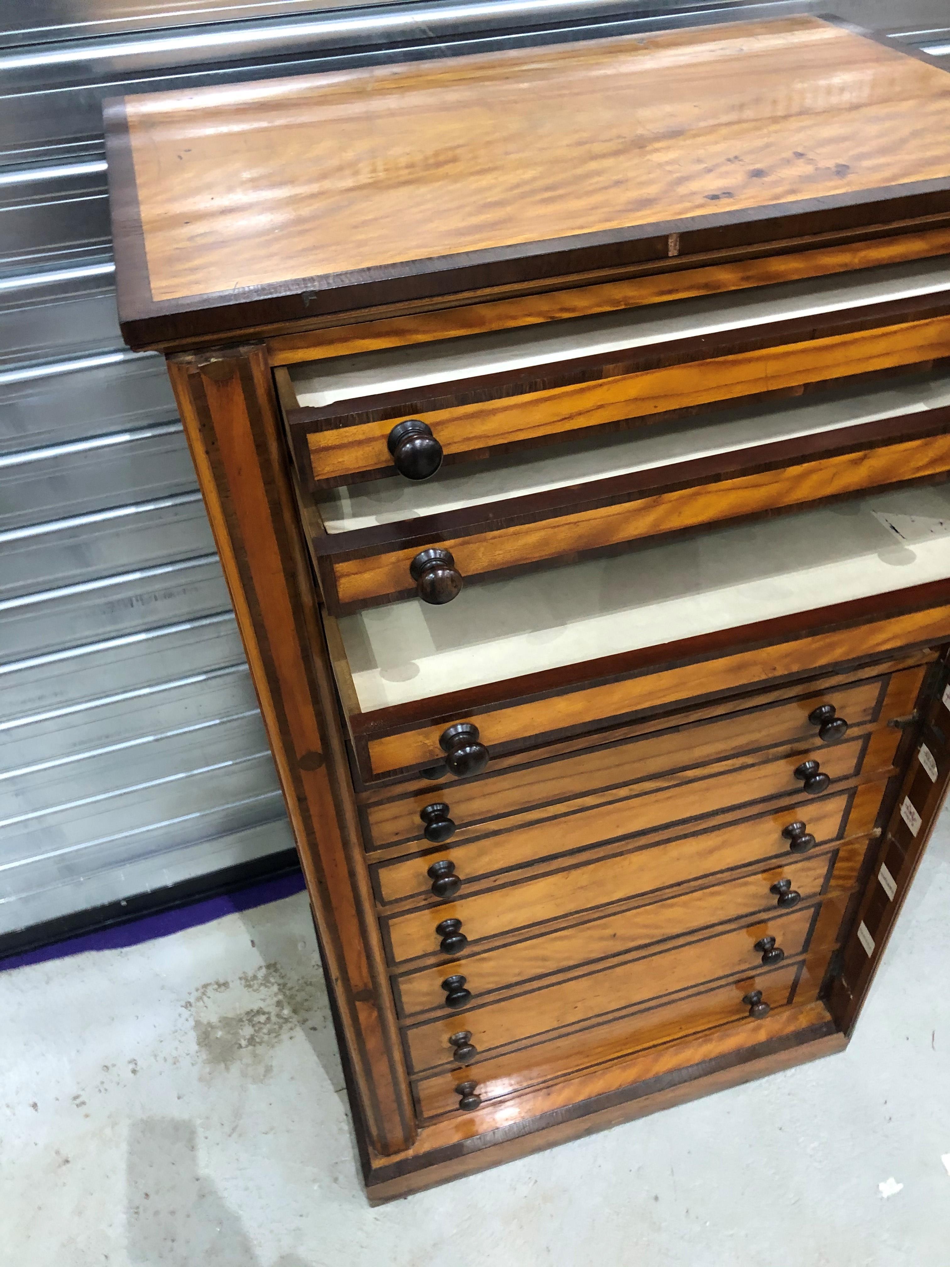 A 19th Century satinwood and mahogany wellington chest of 12 drawers, top loose (been removed for