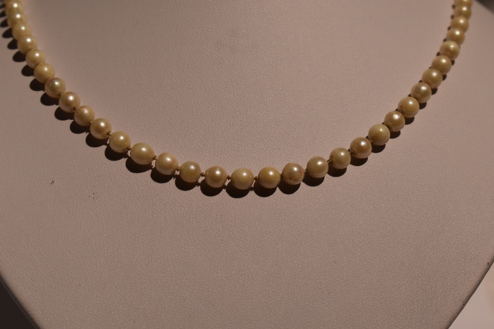 A string of cultured pearls of even form having a gold clasp. approx 25'