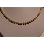 A string of cultured pearls of even form having a gold clasp. approx 25'