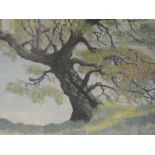 An oil painting, J E Rees, lakeside tree, signed, 38 x 48cm, framed and glazed