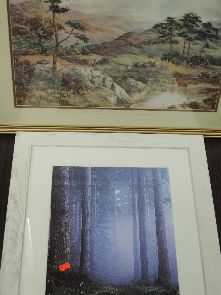 A print after GBB, trees, 42 x 31cm, framed and glazed, and a print, highland cattle, 39 x 54cm,