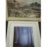 A print after GBB, trees, 42 x 31cm, framed and glazed, and a print, highland cattle, 39 x 54cm,