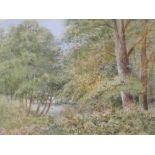 A watercolour, Elizabeth H Lawrence, Woodland in Summer, signed and attributed verso, 18 x 25cm,