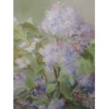 A pastel sketch, Conni Ashworth, Lilac, monogrammed, and attributed verso, 51 x 33cm, framed and