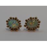 A pair of stud earrings having oval light opal cabouchons in yellow metal claw set ball mounts,