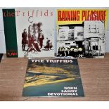 A lot of three albums by The Triffids