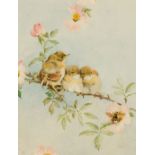 •□ WINIFRED M.L. AUSTEN, R.E., R.I., S.W.A. (1876-1964) WHITETHROATS monogrammed l.l. watercolour 25