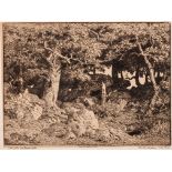 □ ÉTIENNE-PIERRE-THÉODORE ROUSSEAU (1812-1867) OAK AMONG BOULDERS (1861) etching Plate: 13.4 x 21.0c