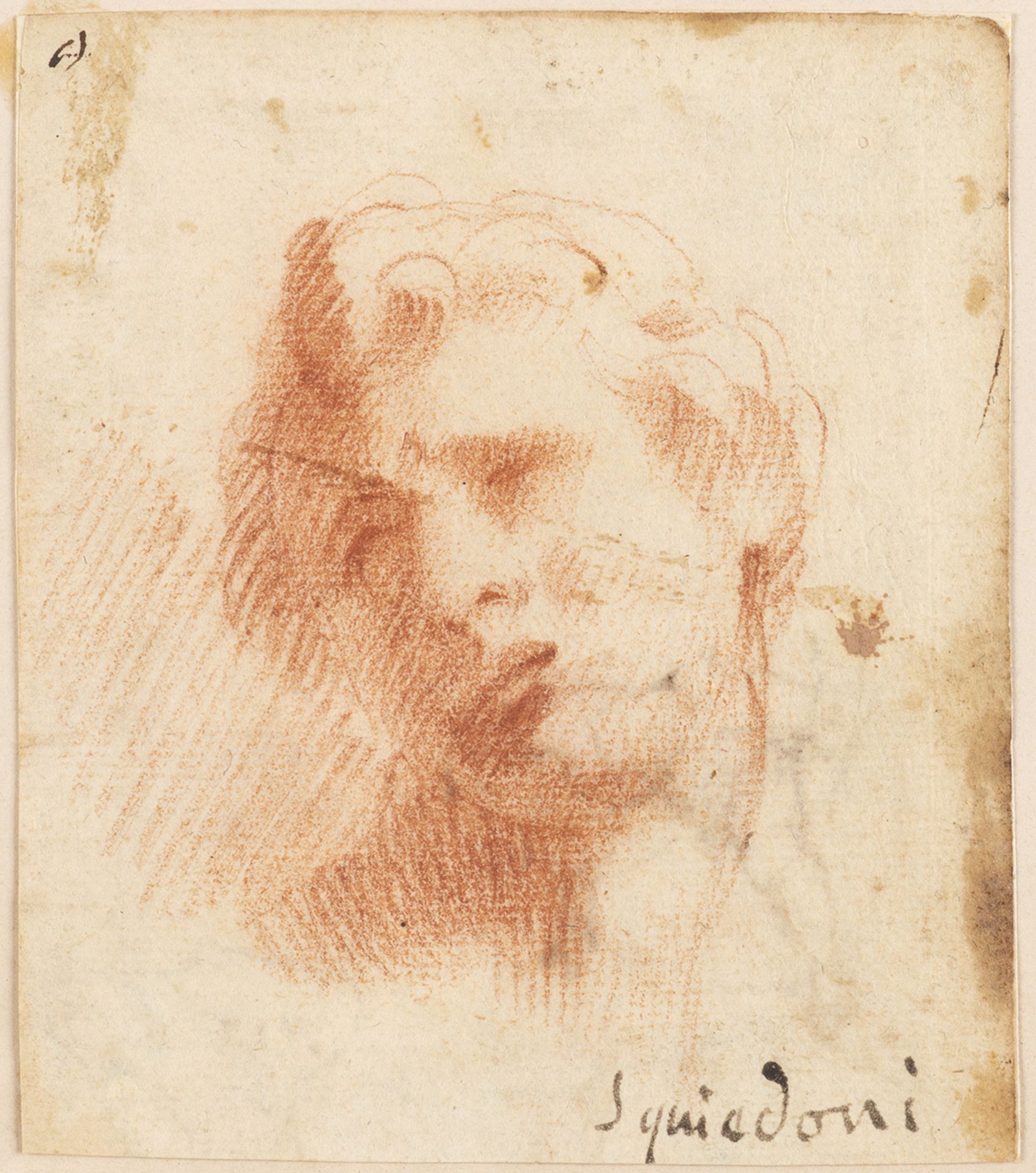 EMILIAN SCHOOL, 17th CENTURY - - Study of a male head - Sanguine on paper [...]