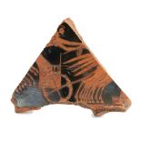 Attic Red-Figure Fragment Possibly by the Nikoxenos Painter, ca. 500 BC; height cm 10, length cm 8,