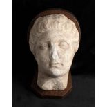 Roman Marble Head of a Woman, 1st century BC - 1st century AD; height (with wooden support) cm 16,8;