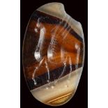 A roman italic banded agate intaglio. Pegasus.