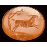 A roman carnelian intaglio. Goat.