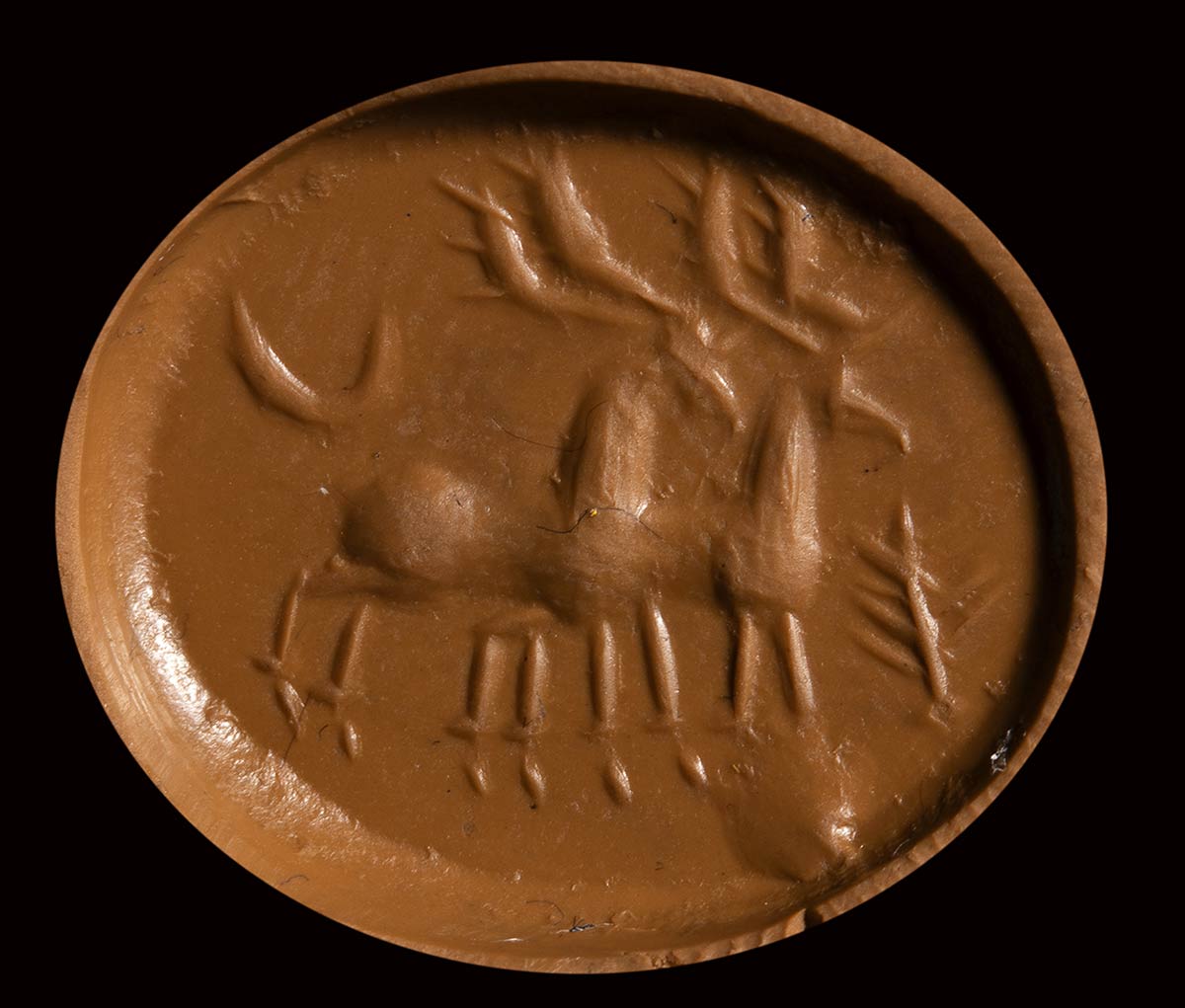 A graeco persian chalcedony engraved seal. Two stags. - Image 2 of 3