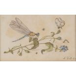 ALOYS ZÖTL (Freistadt, 1803 - Eferding, 1887) - Naturalistic drawing with dragonfly, butterfly and o