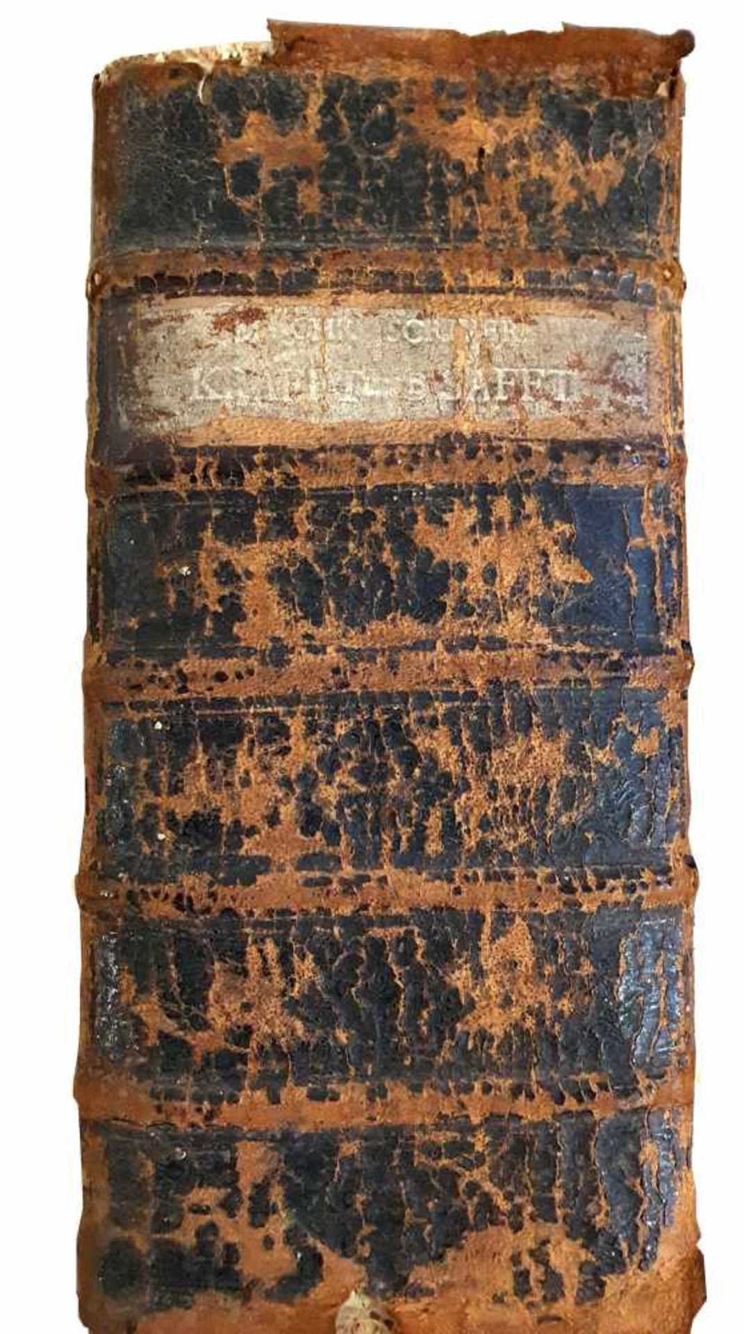 IMPORTANT LIVRE, MAGDEBURG, 1729Christian Schrivers, Seelen SchabesImportant livre d'enviro - Bild 5 aus 5