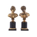 A FINE PAIR OF FRENCH 19TH CENTURY LIBRARY BUSTS of classical figures, 30 cm tall, 15 cm wide and