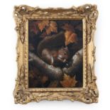 BRITISH SCHOOL (EARLY 20TH CENTURY)Red squirrel eating an acorn on a tree branchOil on panel, 25 x