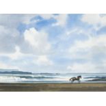 John Skelton (1923-1999) Sea Horse, Quilty, Co. Clare Watercolour, 29.5 x 39.5cm (11½ x 15½'')