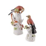 A PAIR OF LARGE MEISSEN MODELS OF EXOTIC BIRDS, 19th century, painted in pink and blue tones, each