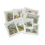 CONTINENTAL SCHOOL A collection of Lithographs and Prints of birds and wildlife Circa 40 prints,