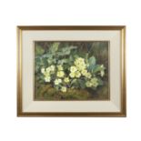 GERALDINE O'BRIEN (1922-2014) Primroses Oil on canvas, 38 x 49cm Signed