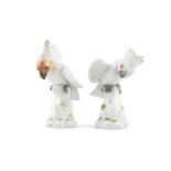 A PAIR OF 19TH CENTURY MEISSEN PORCELAIN PARROTS, each model perched on rockwork stumps with burnt