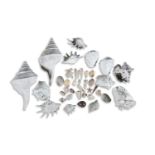 A LARGE COLLECTION OF SHELLS, including conch shells, cowrie shell and a variety of snail shells