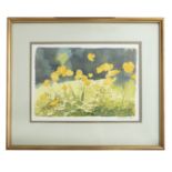 Muriel Brandt RHA (1909-1981) Yellow Poppies Watercolour, 22 x 31cm (8½ x 12¼'') Signed and dated