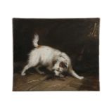 ENGLISH SCHOOL, 19TH CENTURY MANNER OF ARMFIELD Terrier in a barn yard Oil on canvas, 31 x 36cm