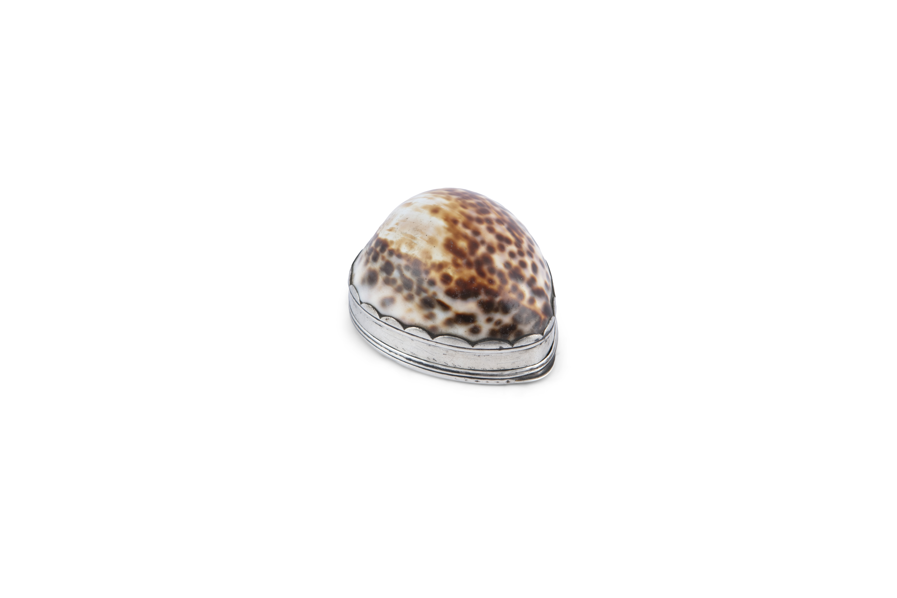 A GEORGE III SILVER MOUNTED COWRIE SHELL, c.1800, with hinged tortoiseshell cover, unmarked. 7.5cm