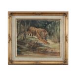 CUTHBERT EDMUND SWAN (1870 - 1931) A Stalking Tiger Watercolour, 24 x 29cm Signed