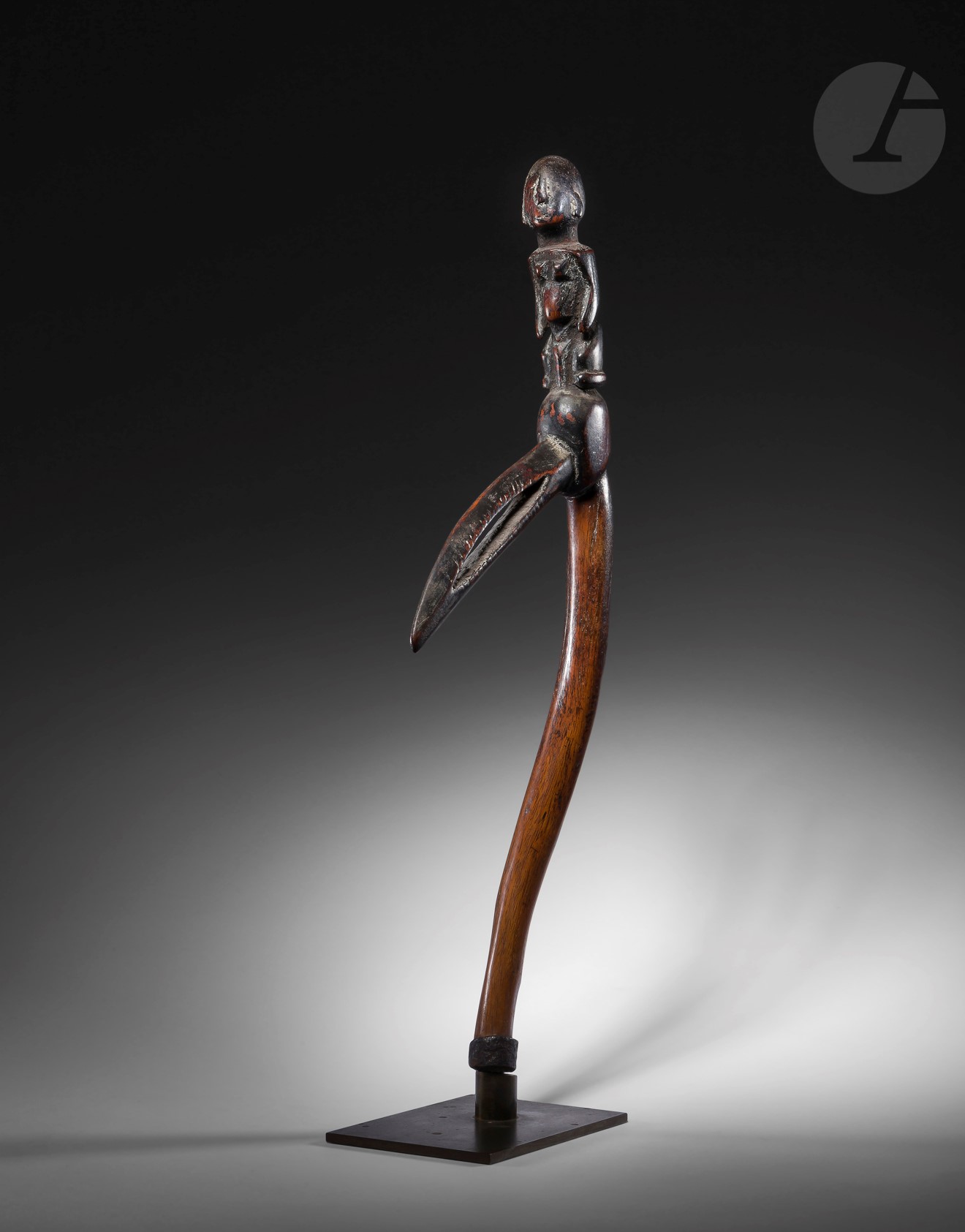 Un ancien bâton de divination à la crosse en forme de bec d'oiseau et surmonté d'un beau