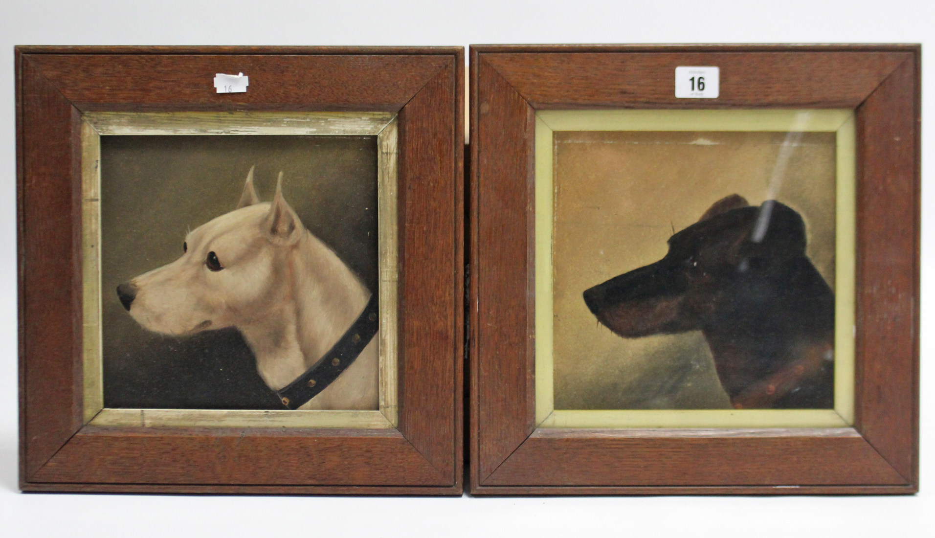 A pair of late 19th/early 20th century oil paintings on card – each depicting a dog portrait,