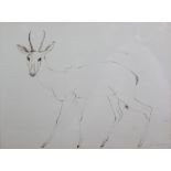 JOHN RATTENBURY SKEAPING, R. A. (1901-1980). Study of an Antelope. Signed “J. R. Skeaping” lower