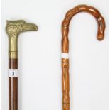 Two walking canes, one with brass eagle-head handle.