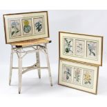 Nine coloured botanical prints displayed in three glazed frames; & a white painted Lloyd Loom