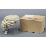A Ravenscroft of London barrister’s wig with contemporary box, circa mid-20th century.