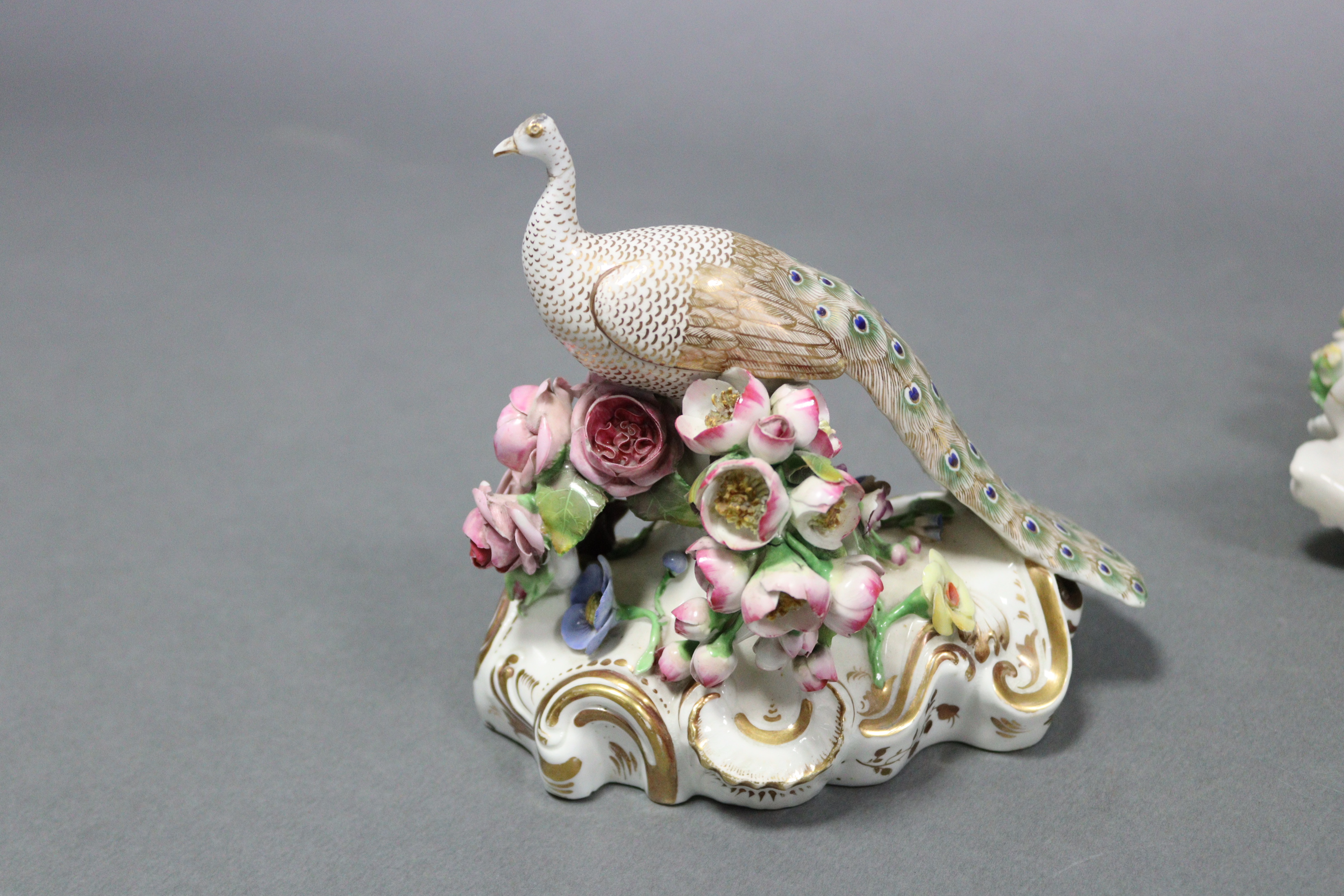 A Bloor Derby porcelain model of a peacock on floral-encrusted mound base with gilt scroll border, - Image 4 of 6