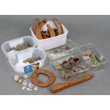 A collection of metal detectorists finds including coins, buckles, horse-shoes, etc.