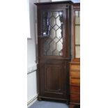 A 19th century mahogany tall narrow standing bookcase enclosed glazed door above, a panel door below