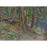 ESTELLA LOUISA MICHAELA CANZIANI, R.B.A. (1887-1964). A mature pine forest looking towards a