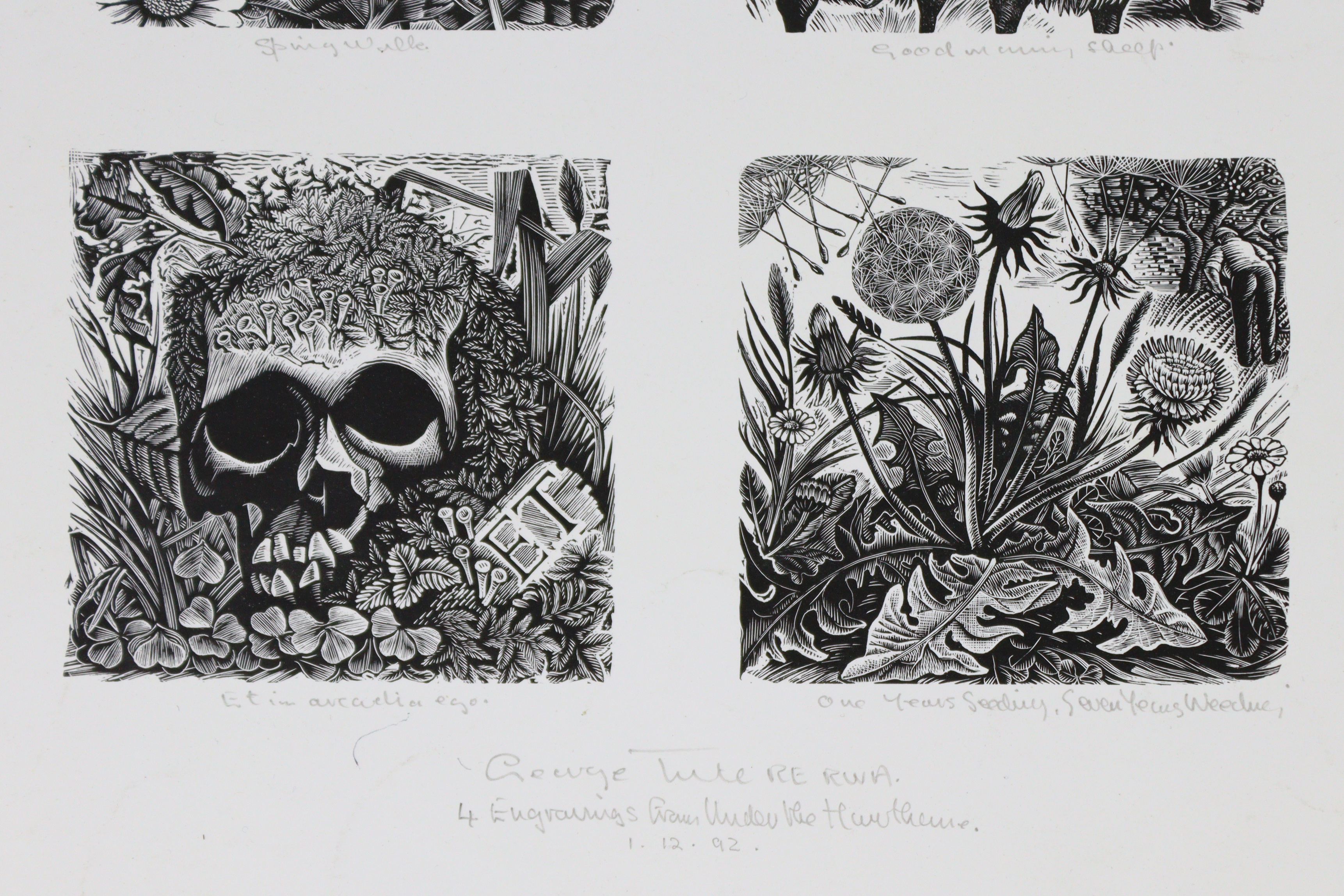 GEORGE TUTE, R.E., R.W.A. (b. 1933). Four wood engravings from “Under The Hawthorn”, titled “ - Image 3 of 4