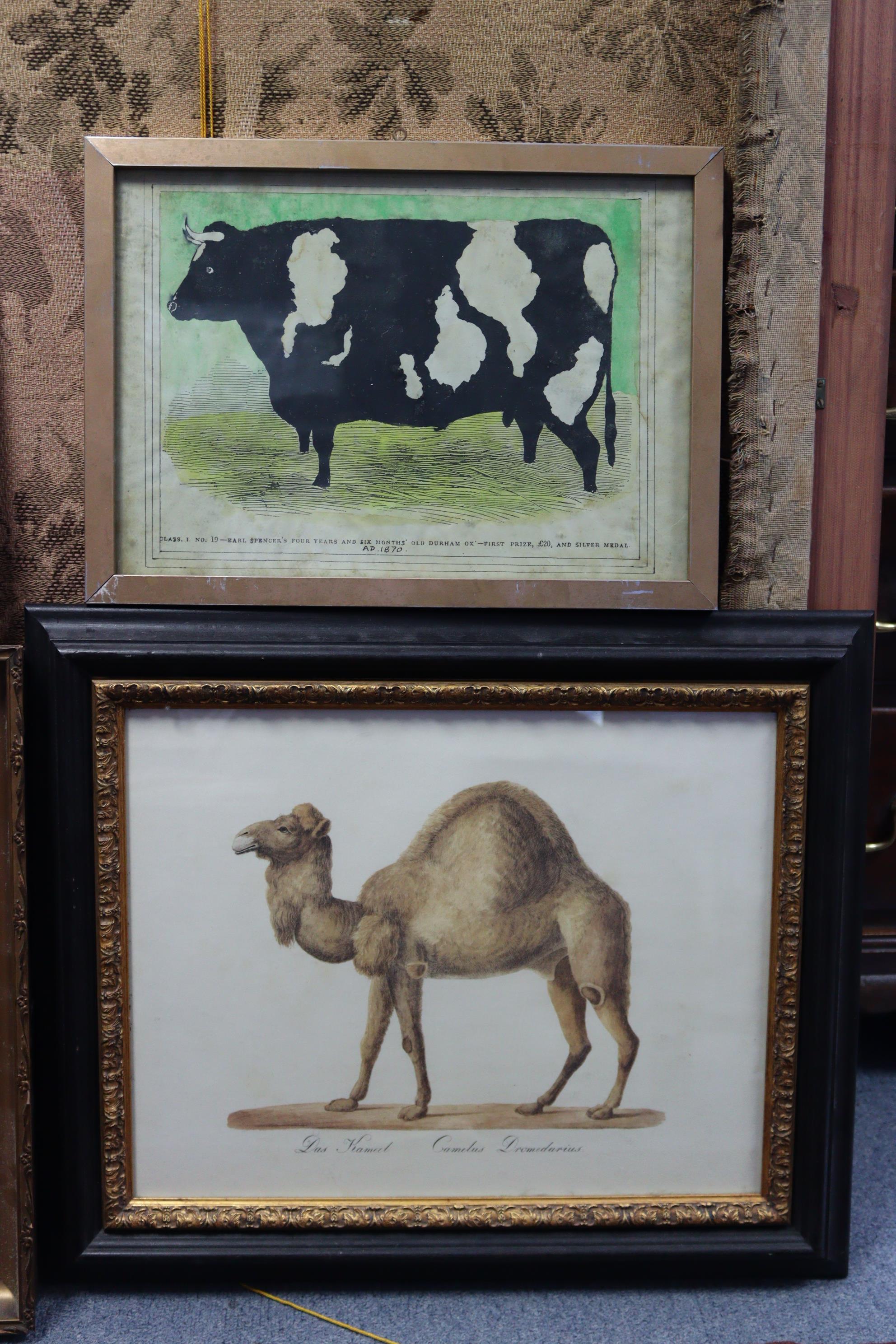 A collection of various decorative paintings & prints. (Provenance: The Estate of the late Geoff &