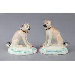 A PAIR OF 18th century DERBY PORCELAIN MODELS OF SEATED PUG DOGS, each naturalistically coloured,